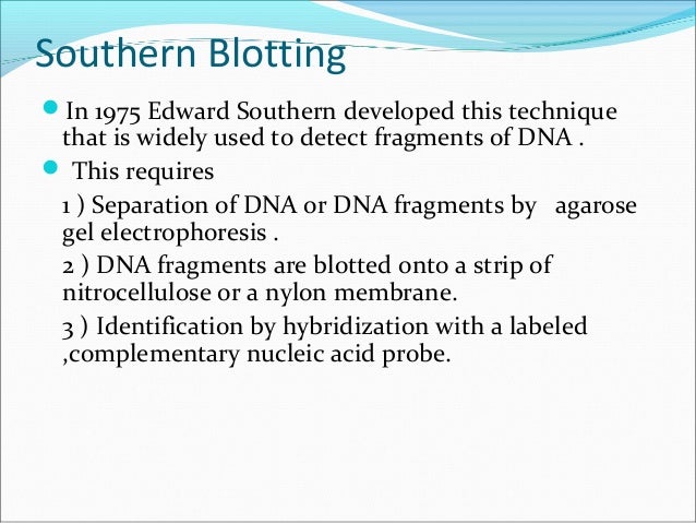 blotting techniques ppt
